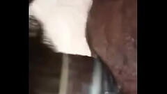 My ass fucked by dig dick Thumb