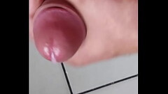 Walenie konia z tryskiem Thumb