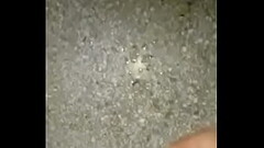 Rica paja y acabando para las nenas Thumb