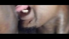 Suck it King Thumb