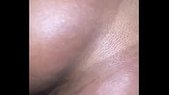 Novinho 2 Thumb