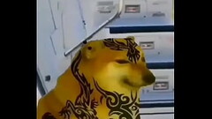 Latina le da una mamada a su hermanastro Thumb