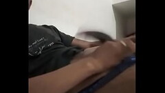 Indian cock Thumb