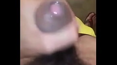 S&eacute_ pajea rico Thumb