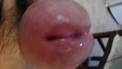 Pija madura  dura y con la cabeza muy inchada Thumb