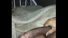 زب عربي اسود كبير Thumb