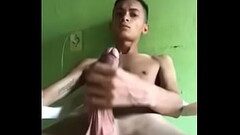 Novinho Dotado 20 cm Thumb