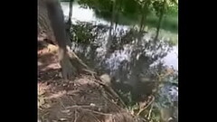 Bơi bị tuột quần Thumb