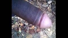 XXX लडं Thumb