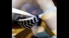 Jay and jay Thumb